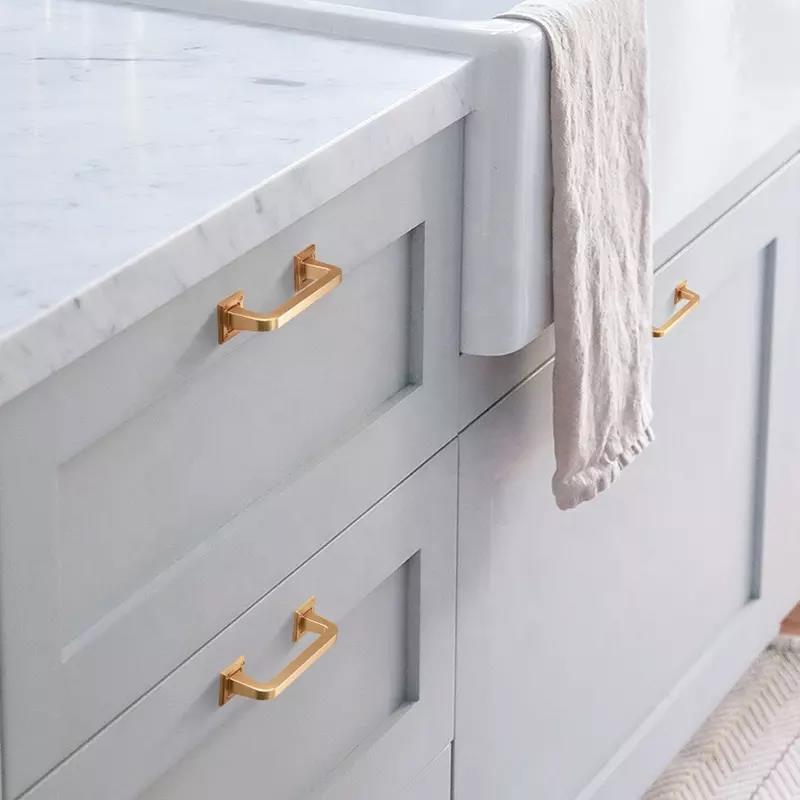 Luigi Lux Furniture Handle in Brushed Brass & Black Brushed Nickel