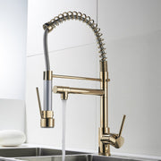 Lucero Faucet in Black & Gold