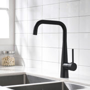 Archdamien Faucet in Black & Nickel