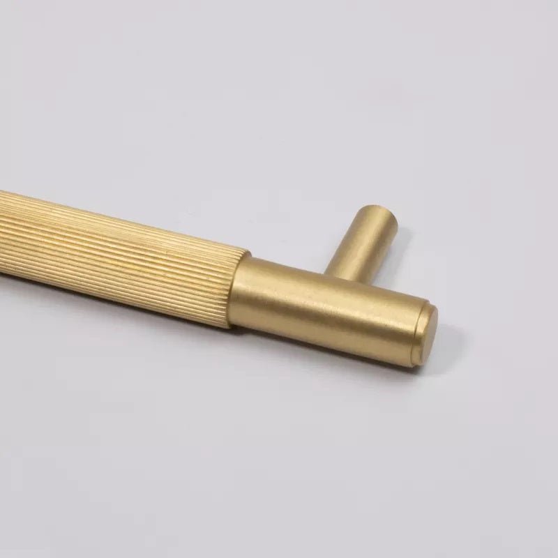 Luca Base Furniture Handle in Brass & Polished Nickel
