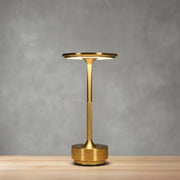 Karina Table Lamp in Silver & Gold