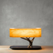 Light of Life Table Lamp