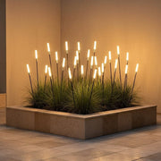 Reed Garden Light