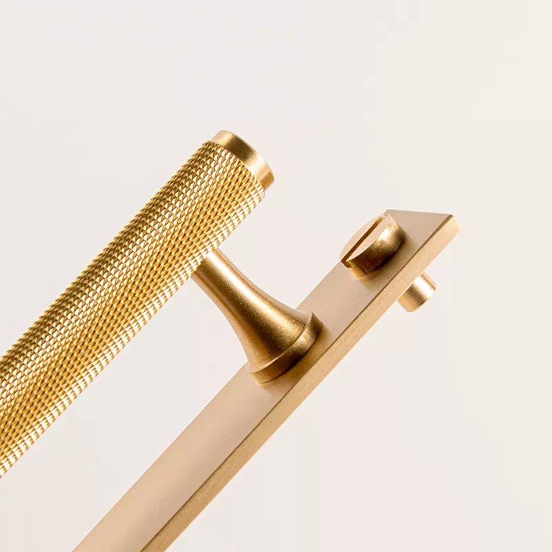 Tarly Reva Furniture Handle in Brushed Brass & Matte Black - Viltara