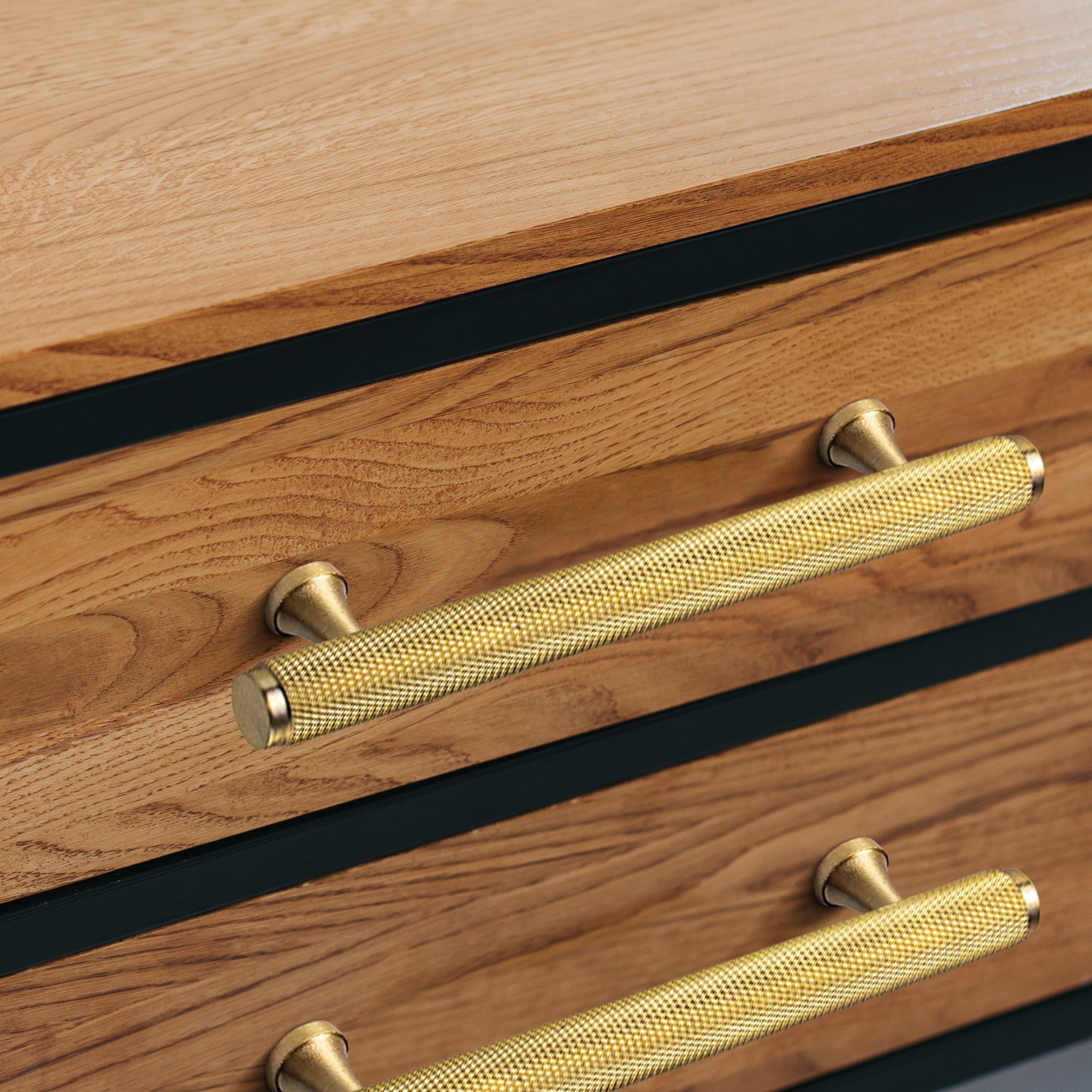 Tarly Reva Furniture Handle in Brushed Brass & Matte Black - Viltara