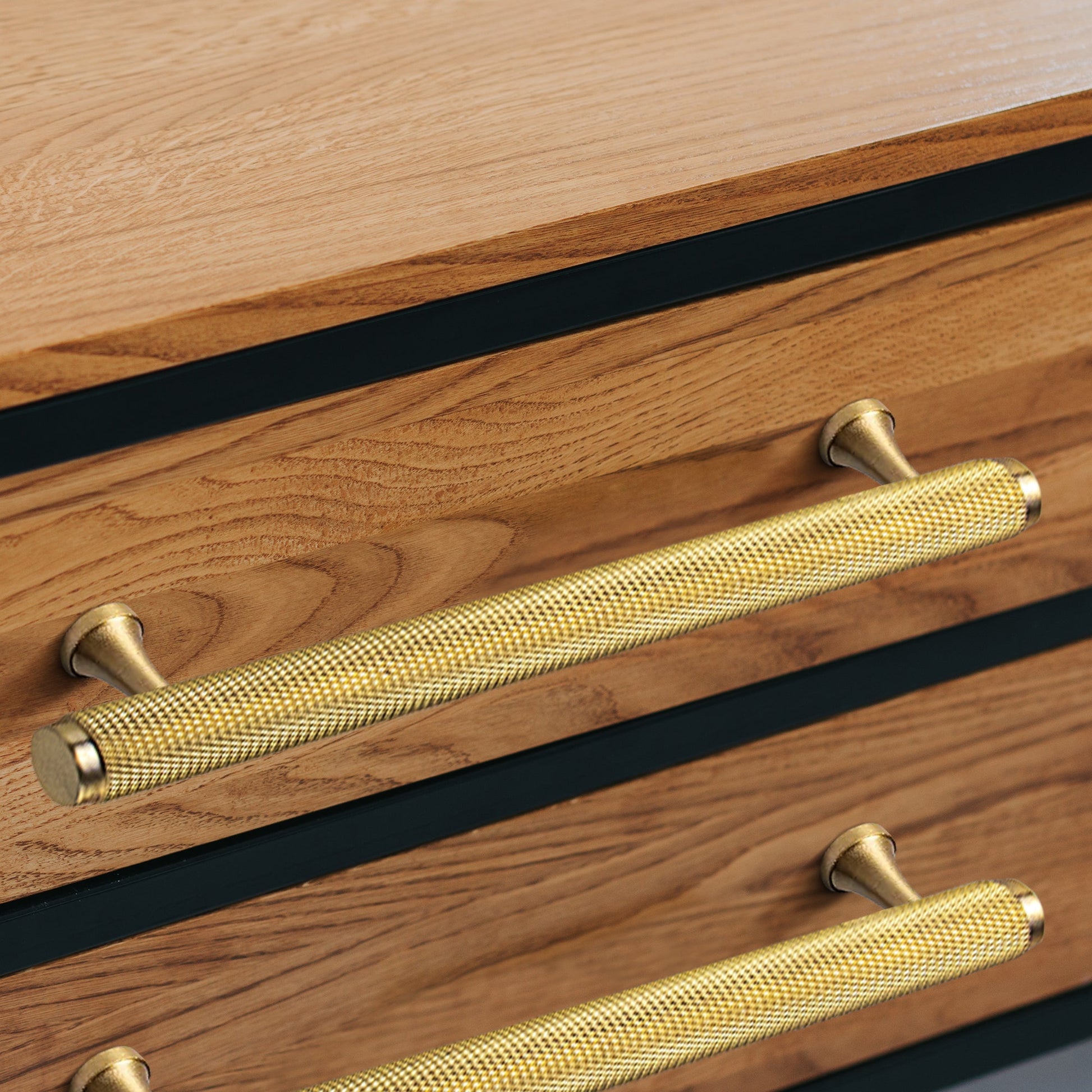 Tarly Reva Furniture Handle in Brushed Brass & Matte Black - Viltara